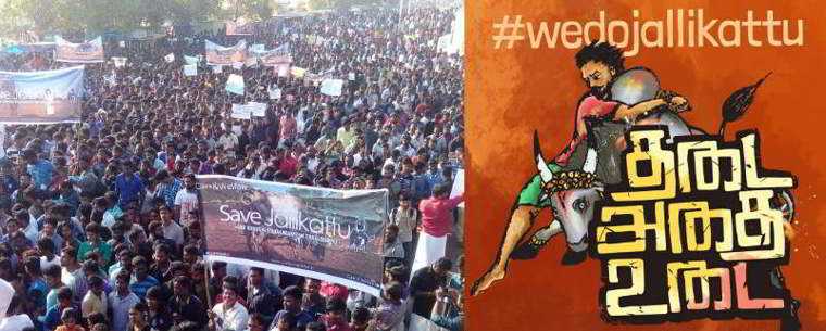 Jallikattu Marina Jan 9