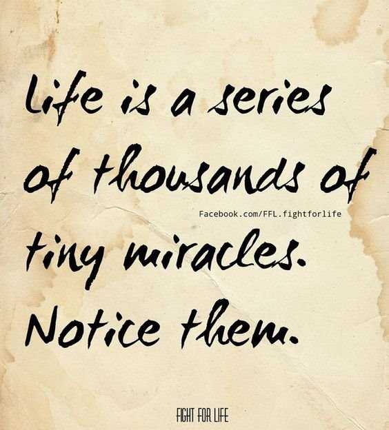 28 Quotes to Live by 15