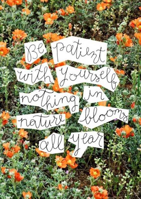 37 Encourage Quotes About Life Of The Best 11
