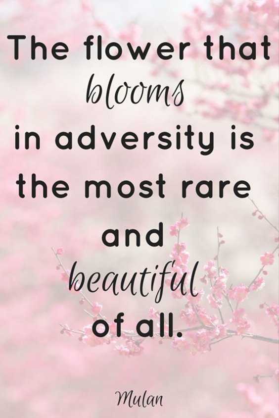 50 Inspirational Quotes About Success In Life 1
