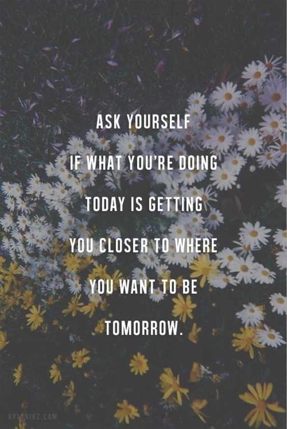50 Inspirational Quotes About Success In Life 19