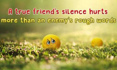 A True Friend's Silence hurts - Best Friends Quotes