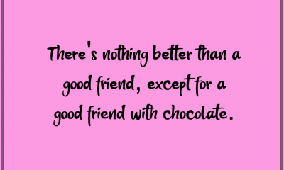 Funny Friendship Quotes For Best Friends