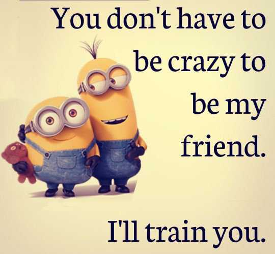 Funny Friendship Quotes - You dont have to be crazy