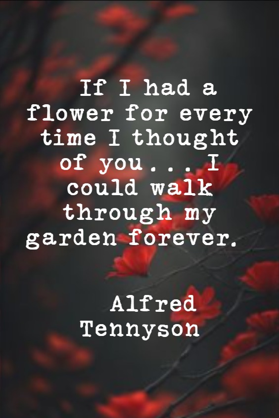 Quotes celebrating friendship Quotes celebrating friendship