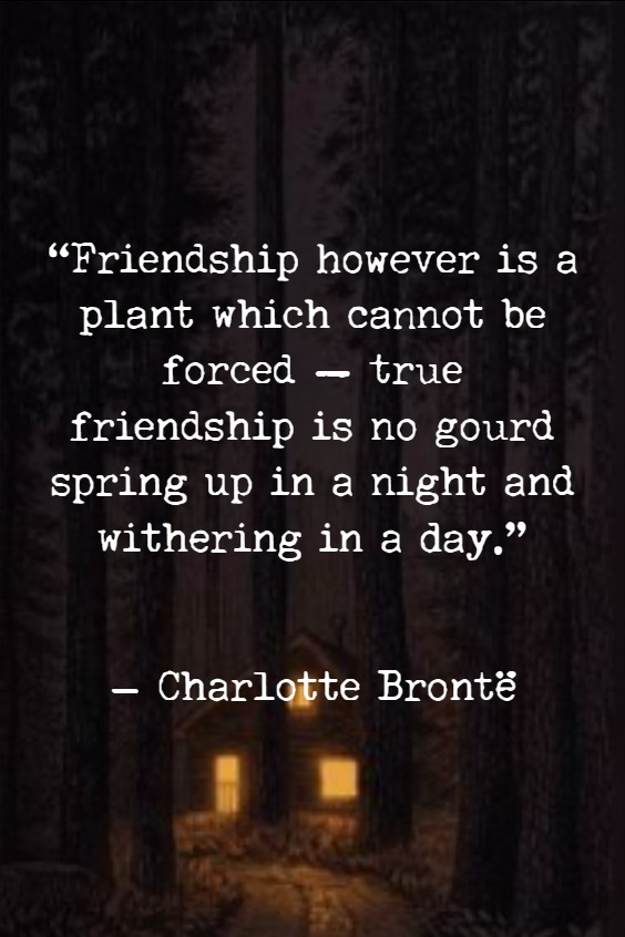 Quotes that capture friendships Quotes that capture friendships