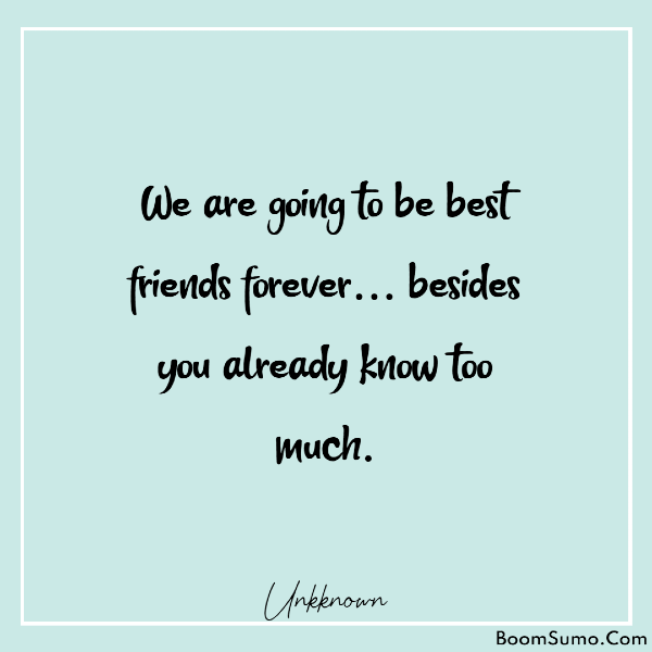 45 CUTE Funny Friendship Quotes For Best Friends - BoomSumo
