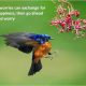 If Worries can exchange for happiness, then go ahed and worry - Sad Love Quote