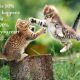 How you react to it - Inspirational Quotes