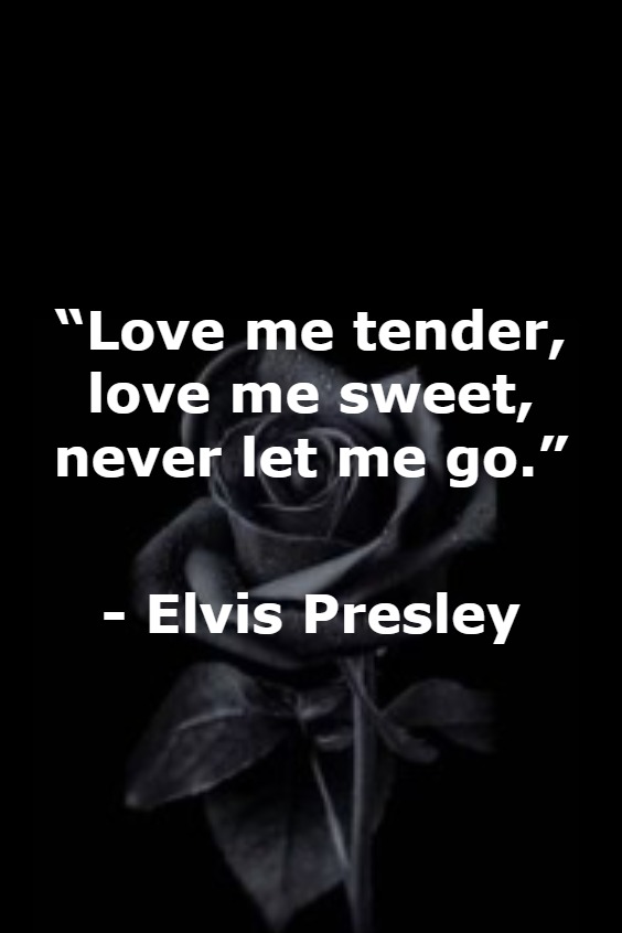 Letting go quotes Letting go quotes