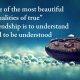 Qualities of true friendship - Best Friends Quotes