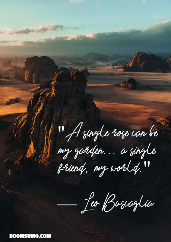 our friendship quotes about famous perspectives on evolving friendship