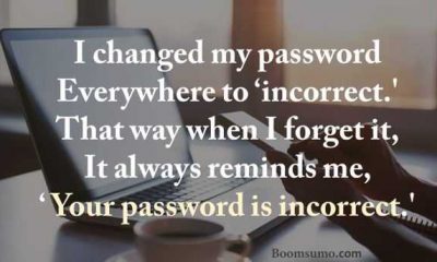 Funny Quotes I changed my password, Next everywhere