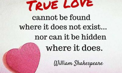 Inspirational Quotes about life and love True Life quotes