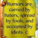 Rumors are carried by haters, accepted by idiots - hates Quotes