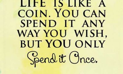 inspirational quotes about life lessons Life is Coin Spend it life quotes