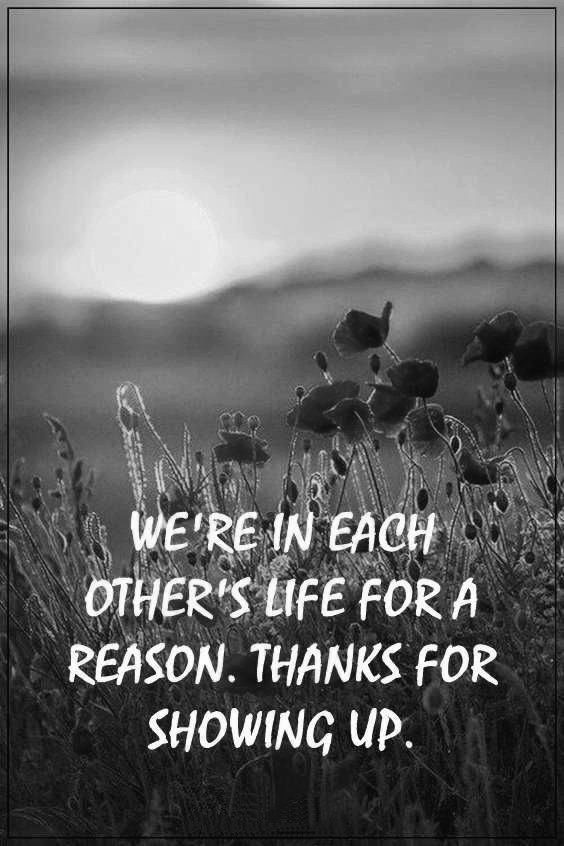Cute Life Quotes to Brighten Your Day