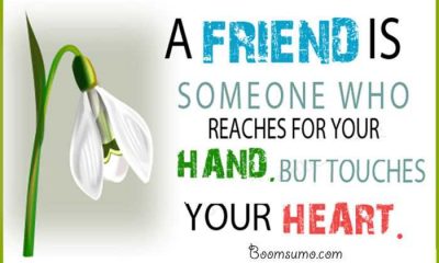 Heart Touching Quotes About Friends Touches Your Heart best friends forever quotes