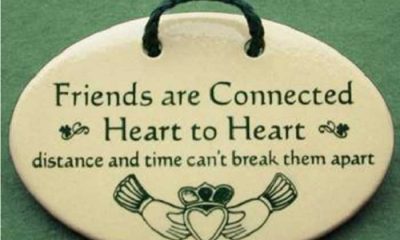 The Best Friendship Quotes Friends are Connected, Everyone Should Know quotes on best friends