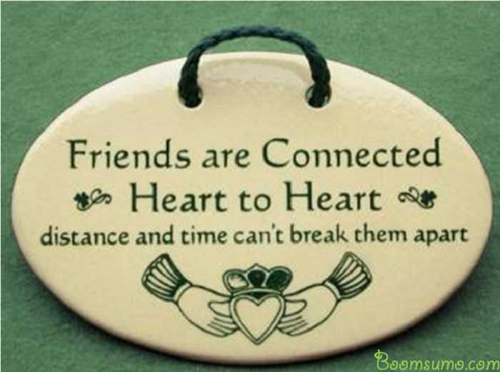 The Best Friendship Quotes Friends are Connected, Everyone Should Know quotes on best friends