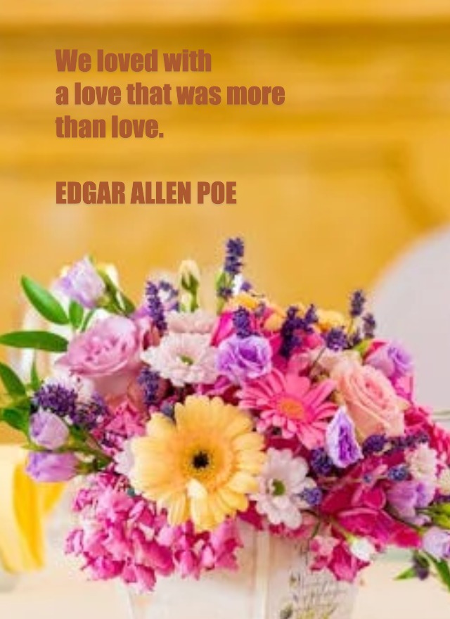 Very short Positive love quotes true love for him Very short Positive love quotes true love for him