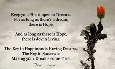 dreams quotes about achieving success ' Dreams Come True quotes life