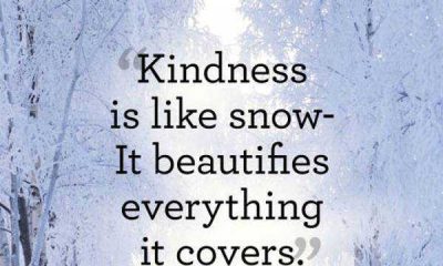 Beautiful kindness quotes If You Give quotes about kindness