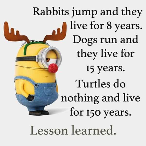 Cool Funny Quotes: “Do Nothing Live 150 years” Funny Phrases – Boom Sumo