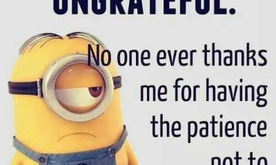 Minions Quotes Funny Sayings People Are So Ungrateful funny inspirational quotes