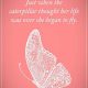 Positive Quotes About Life Life Sayings When She began To Fly inspirational words of encouragement