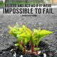 Thoughts quotes inspirational messages impossible to fail quote of the day