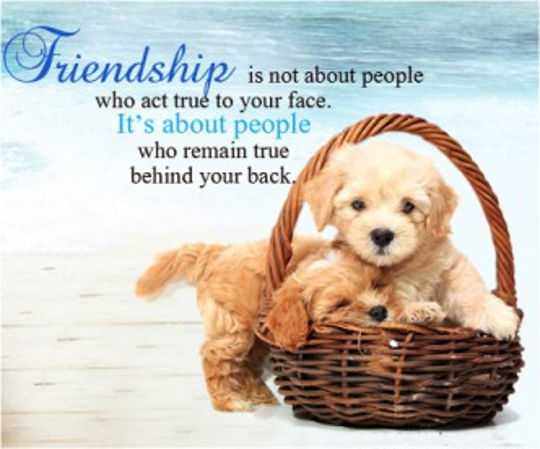 best friends quotes life Sayings people who act true to your face true friends quotes