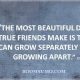 friends quotes true friends Never Push Away Quotes About Friendship