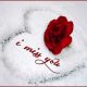 Best Love Quotes Love Thoughts i Miss You