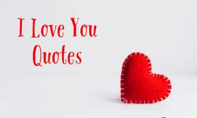 Daily I Love You Quotes About Love