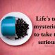 Inspirational life Quotes Words Of Wisdom Life's too mysterious Happiness Quotes about life sayings