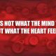 Love quotes Love thoughts What The Heart Feels, Love Is
