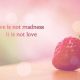 Love quotes about love how to love quotes When love is Not madness Love quotes for him