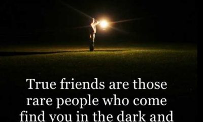 best quotes about friendship True Friends Rare people Who Come Find You From Dark