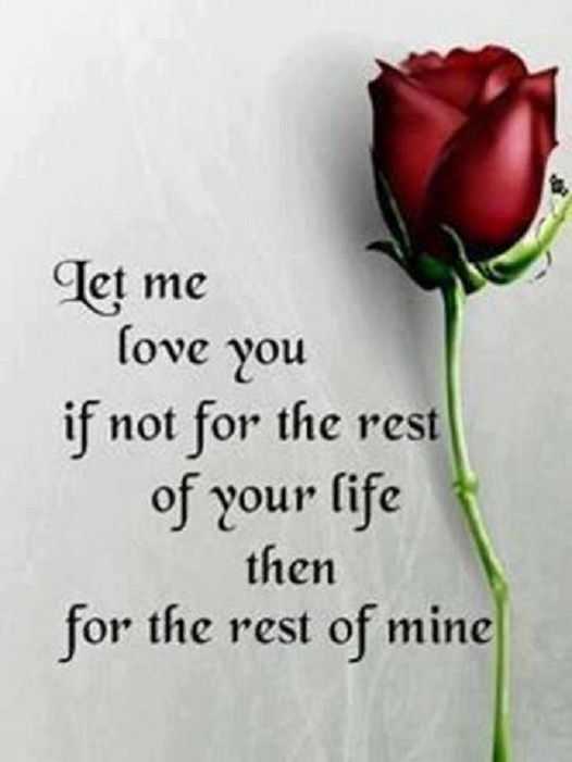 love Quotes Love Sayings Let me Love Relationships quotes about love