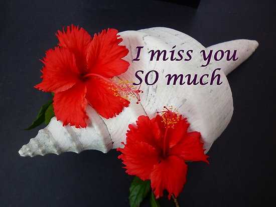 Miss you heart