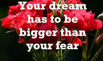Dreams quotes About life Always Dream You Are Bigger Than your Fear