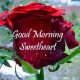 Good Morning Quotes For Her Sweetheart Good Morning, My Love