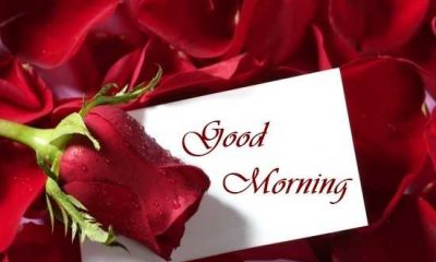 Good Morning Quotes Love Sayings True Love Not Fill Heart