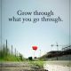 Inspirational Life Quotes Life Sayings What you Go through, Grow It
