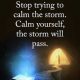 Inspirational Life Quotes Words of Wisdom Calm Yourself, the Storm Will Pass