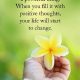 Inspirational Quotes of the Day When You Fill Positive thoughts