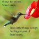 Inspirational life Quotes about positive Sometimes Little things Got better value