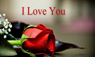 Love Quotes About love Sayings Truth Is, Always I Love You