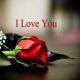 Love Quotes About love Sayings Truth Is, Always I Love You